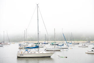 Morning fog Northport.