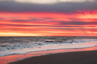 Amazing beach scene.