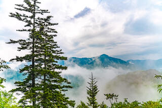 The Smoky Mountains are seen from atop.