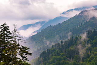 A view of the Smoky Mountains.