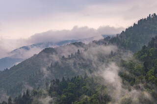 The Smoky Mountains look iconically smoky.