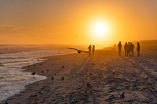 Hazy beach scene.