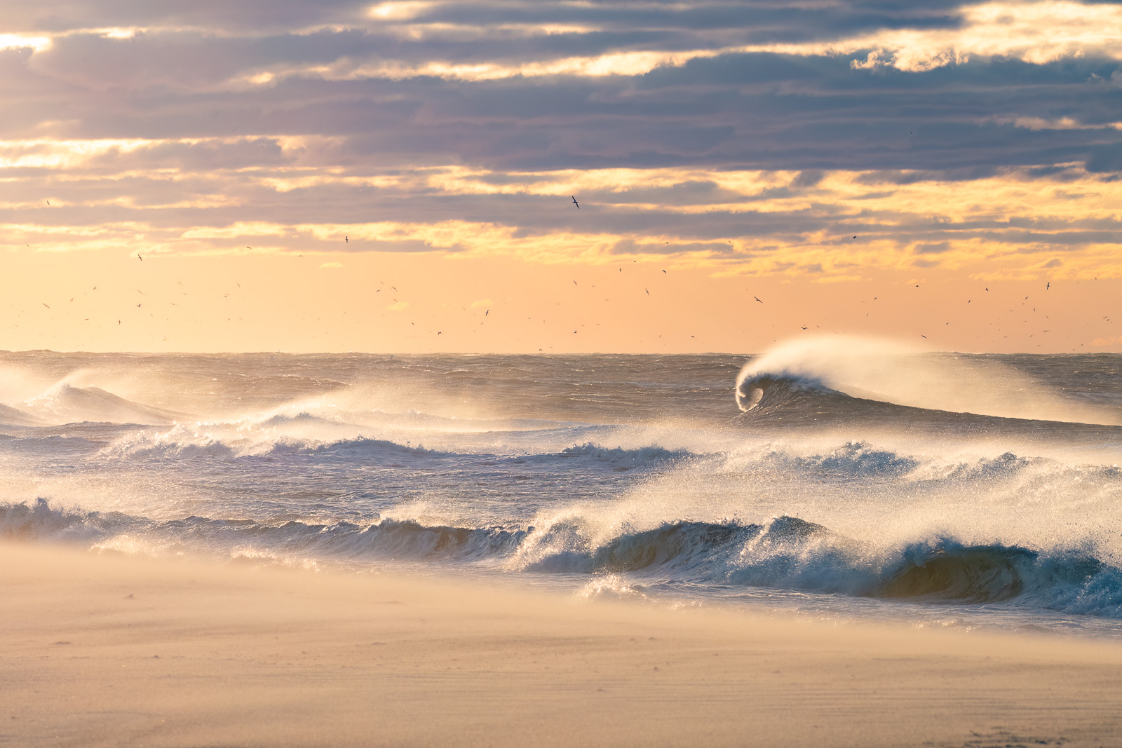 A dramatic wave at sunrise.